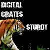 Digital Crates - Sturdy - Single
